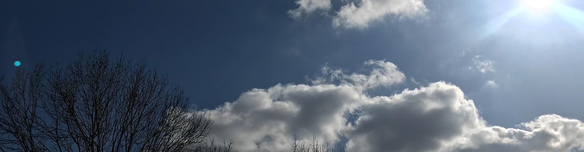 Bereavement Services